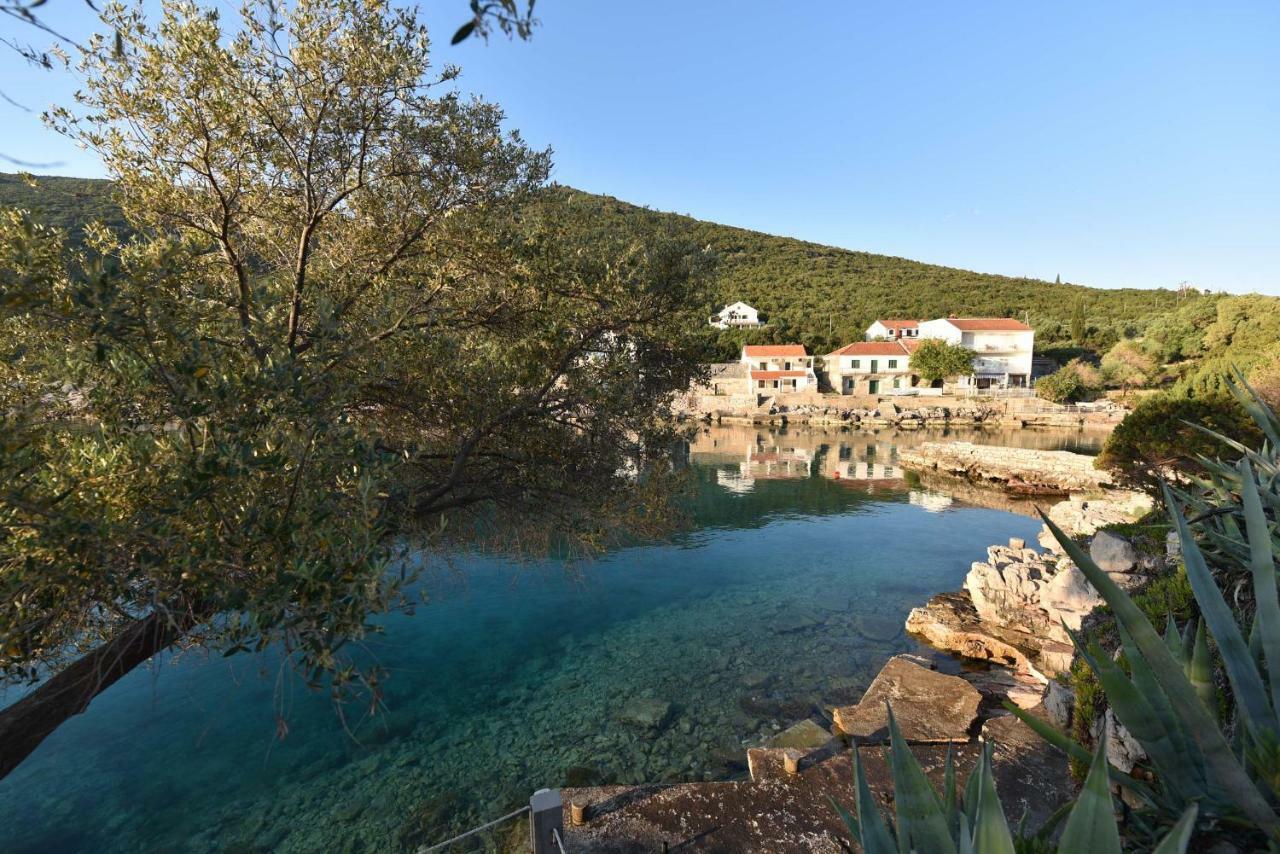 Apartmani Marko Gdinj المظهر الخارجي الصورة