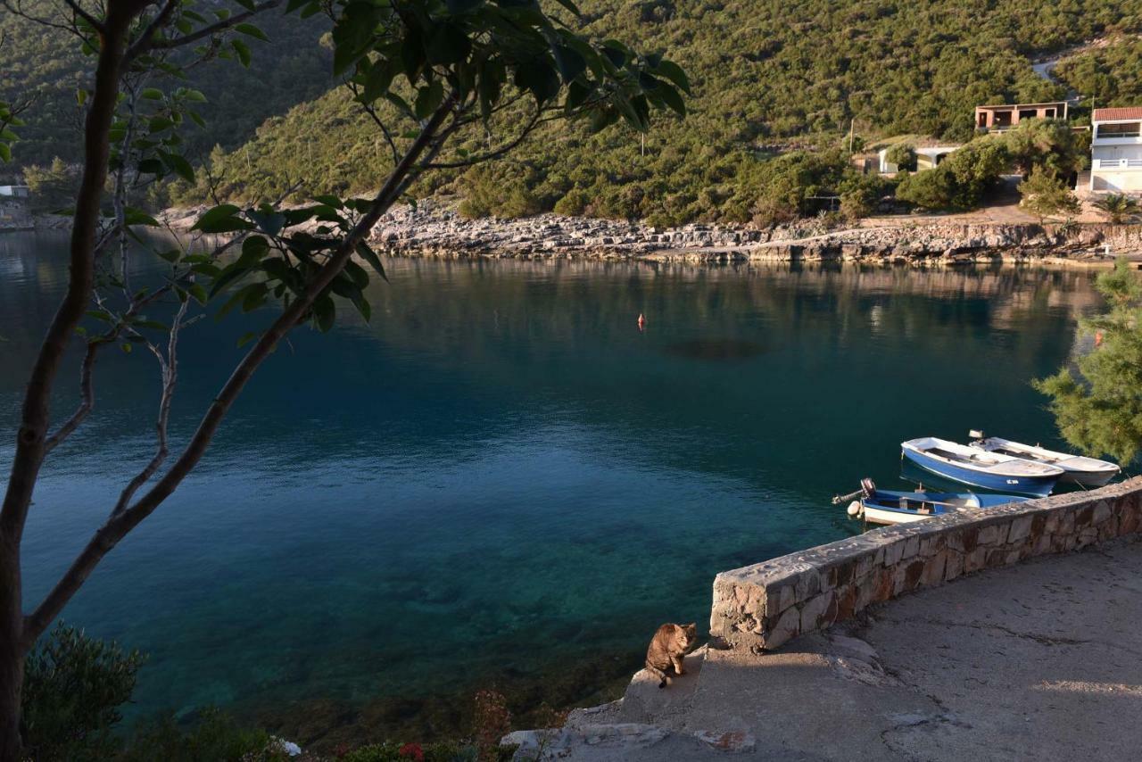 Apartmani Marko Gdinj المظهر الخارجي الصورة